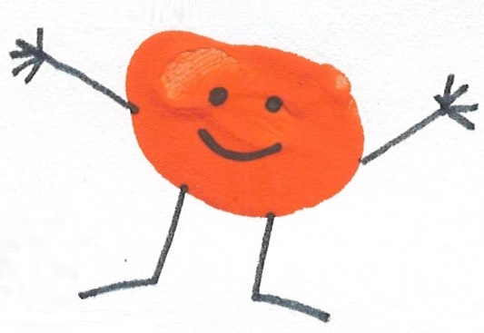 p8.jpg